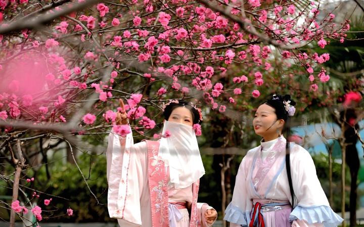 桃花文化旅游节活动策划方案